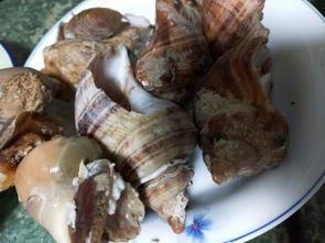 大连中山区二七广场建材图片,价格表,品牌大全,品牌排行榜 大连建材