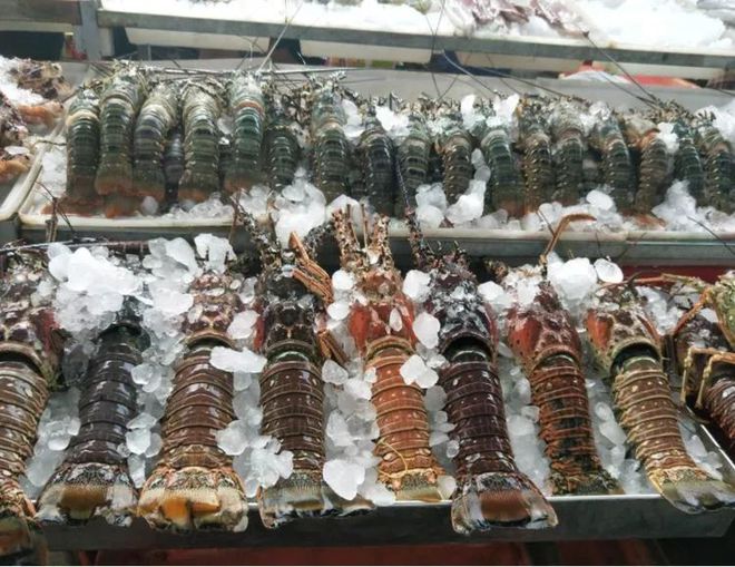 我国最适合“养老”城市,365天鸟语花香,海鲜简直不要钱!