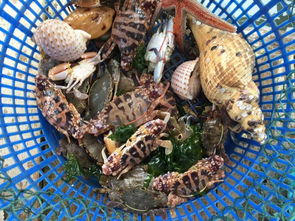 你知道吗,为什么海鲜一直那么贵