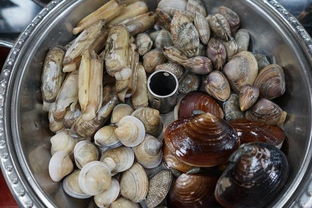 金山嘴渔村小海鲜,我首选这家 一撸根本停不下来