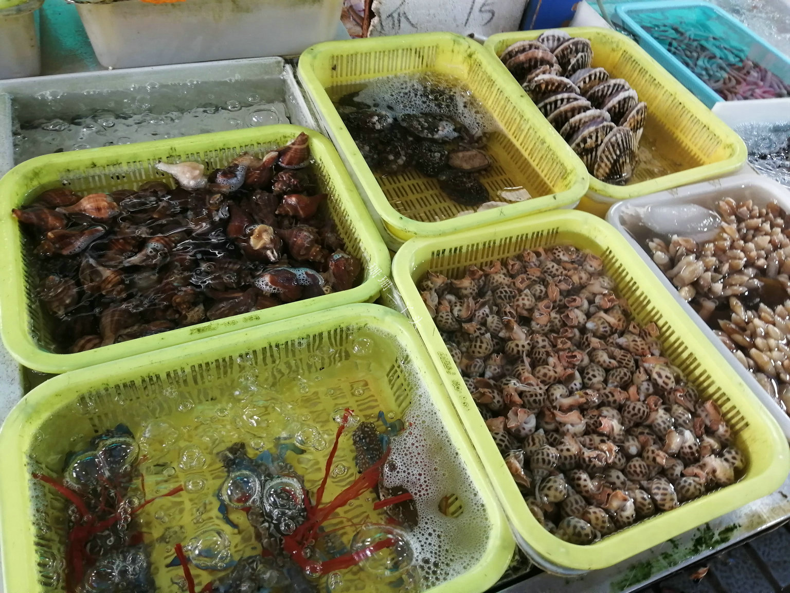 平靓正海鲜大量上市,专家解答:哪些水产品不宜吃?_黄沙