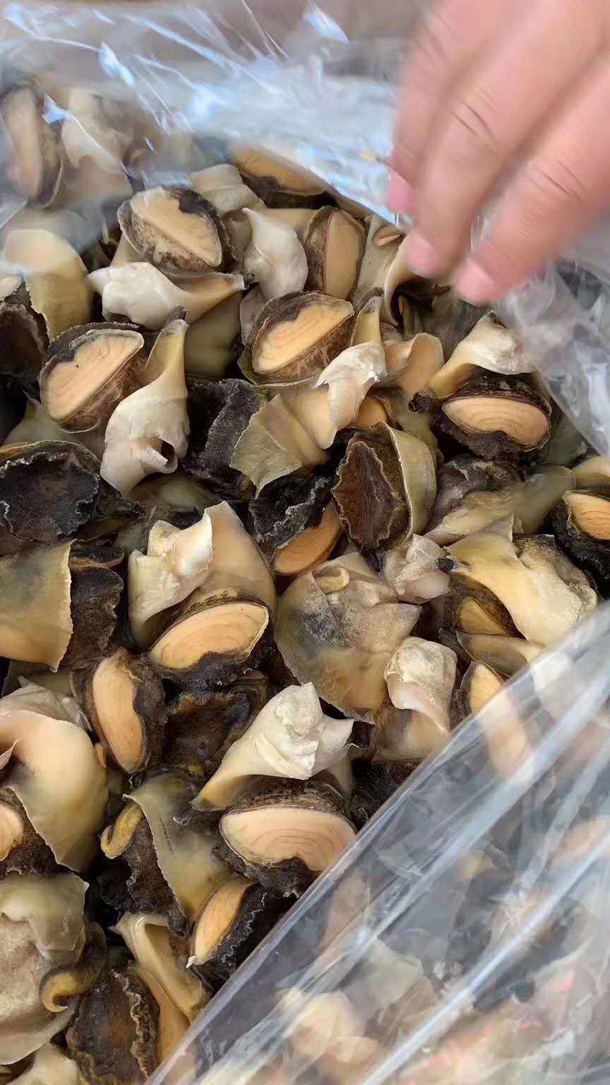 海螺肉原料去壳海螺肉螺丝炒泥螺去壳肉冷冻水产工厂批发
