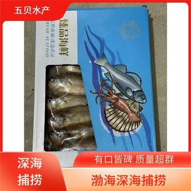 鲜虾现在多少钱一斤