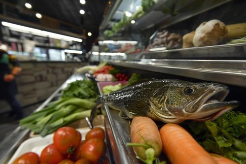 生鲜海鲜水产冰冻银鳕鱼 摄影图