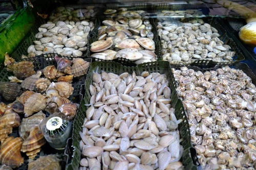 你买过吗 南宁这些地方售卖的海鲜被检出不合格