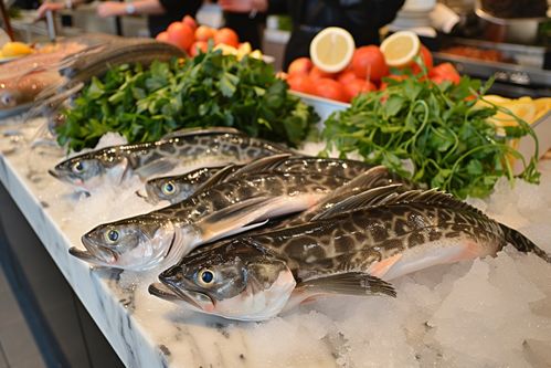 生鲜海鲜水产深海鳕鱼 摄影图