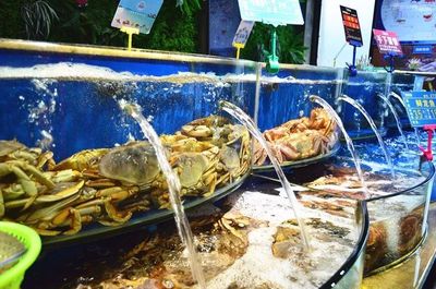 它堪称南浔“海鲜工厂”,超70+种海鲜自选天天平价!