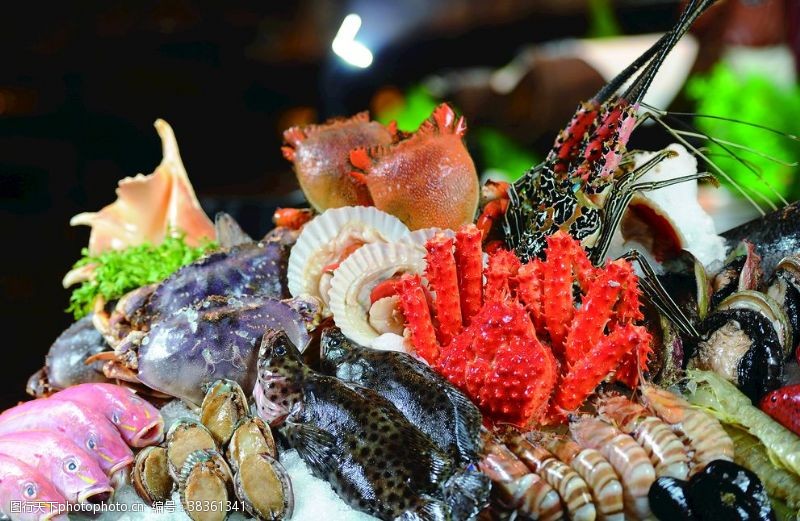 鱼虾蟹图片素材