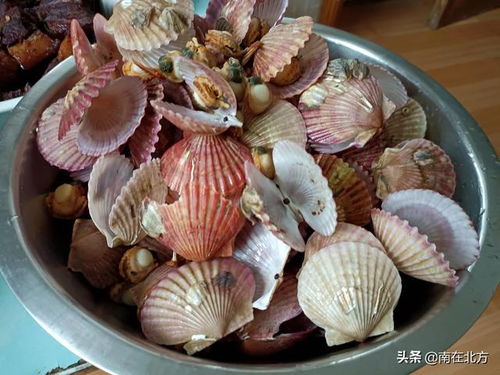 海鲜 大餐
