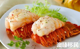 移民澳洲悉尼,六大意想不到的生活亮点