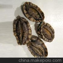 【青岛直销 海鲜 鲍鱼 海鲜批发 鲍鱼批发【图】】价格,厂家,图片,鲜活/冷冻水产,青岛旺福鱼乡水产品-