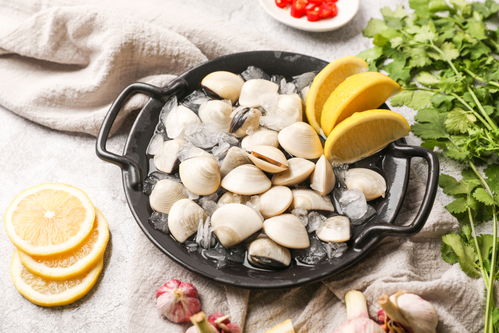 水产腌生鲜白贝海鲜美食摄影图 st摄影