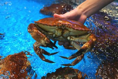 入冬了!2018年最后几天,冷空气即将虐哭南宁人!但有一个地方却…