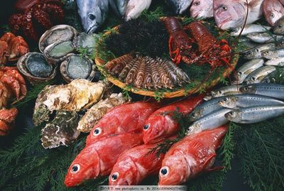 海鲜图片