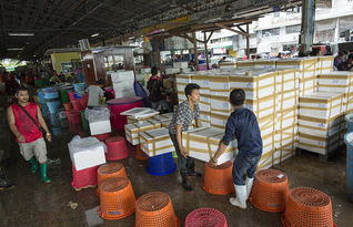 泰国海产加工厂雇黑工 每天工作16个小时