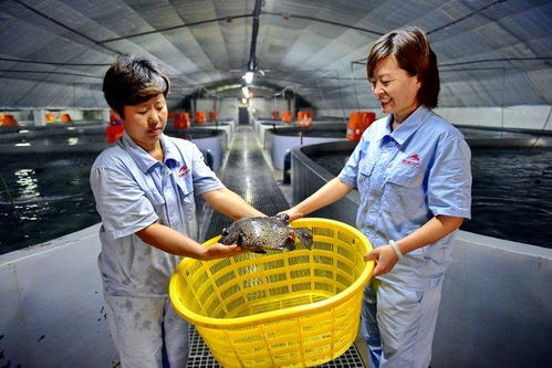 涉林下经济 深远海养殖等,大食物观构建多元化供给体系