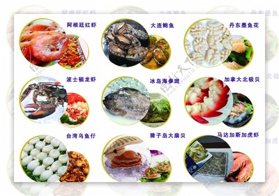 中越天海鲜产品展示 编号08060239精选素材