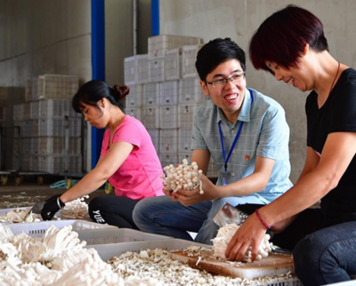 福建古田 工厂化海鲜菇成脱贫新引擎