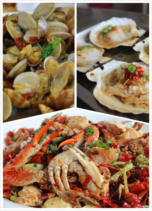 北戴河寻鲜指南 本地人带路，解锁地道海鲜美味