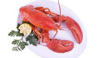 多国海鲜产品关税迎调整或全免，全球贸易格局或将重塑