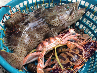 探海鲜万山 | 海鲜美食节探鲜团招募，免费吃喝玩乐等你来！