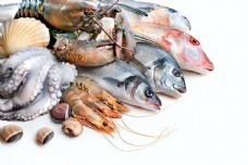 海鲜图库新宠 聚焦尤鱼素材，一站式满足你的设计与灵感需求