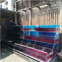 湛江广东水生财鱼缸厂 专业生态鱼缸订做与设计的一站式解决方案